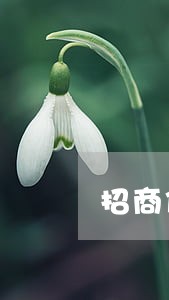 招商信用卡逾期上户籍地走访 招商信用卡逾期上户籍地走访
