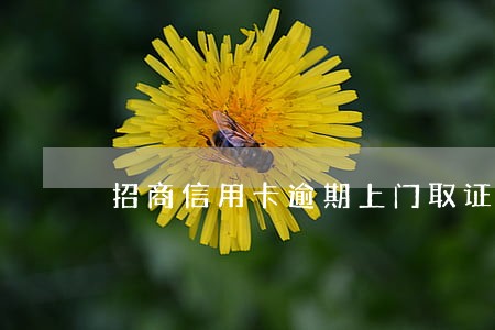 招商信用卡逾期上门取证安全 招商信用卡逾期上门取证安全