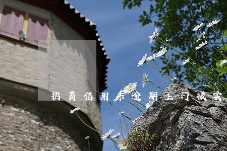 招商信用卡逾期上门核实 招商信用卡逾期上门核实