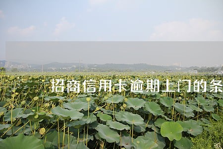 招商信用卡逾期上门的条件 招商信用卡逾期上门的条件