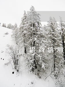 招商信用卡逾期不给减免利息 招商信用卡逾期不给减免利息