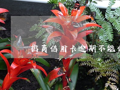 招商信用卡逾期不能做分期吗