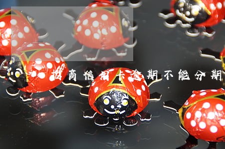 招商信用卡逾期不能分期么 招商信用卡逾期不能分期么