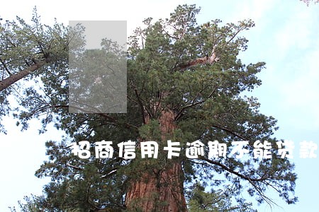 招商信用卡逾期不能贷款买车 招商信用卡逾期不能贷款买车