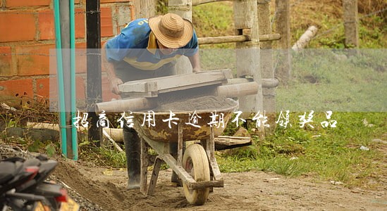 招商信用卡逾期不能领奖品 招商信用卡逾期不能领奖品