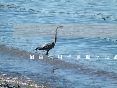 招商信用卡逾期不还会怎么样