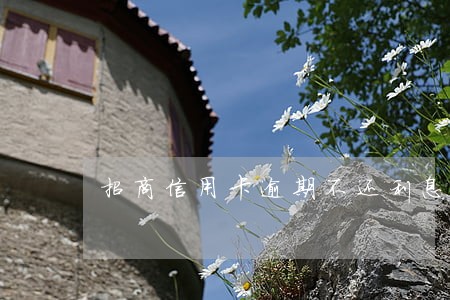 招商信用卡逾期不还利息多少