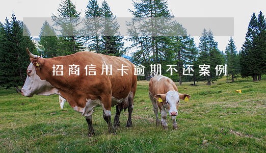 招商信用卡逾期不还案例 招商信用卡逾期不还案例