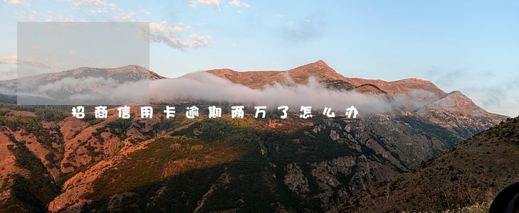 招商信用卡逾期两万了怎么办 招商信用卡逾期两万了怎么办