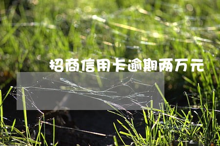 招商信用卡逾期两万元 招商信用卡逾期两万元