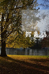 招商信用卡逾期两万怎么协商 招商信用卡逾期两万怎么协商