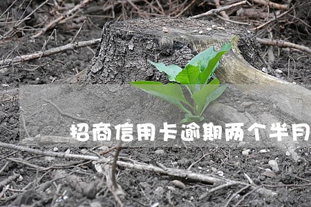 招商信用卡逾期两个半月 招商信用卡逾期两个半月