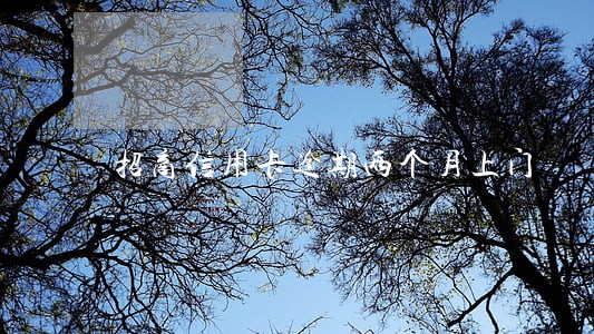 招商信用卡逾期两个月上门 招商信用卡逾期两个月上门