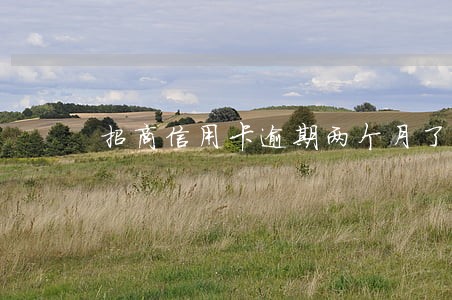 招商信用卡逾期两个月了怎 招商信用卡逾期两个月了怎