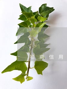 招商信用卡逾期两个月了还能用么 招商信用卡逾期两个月了还能用么