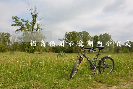招商信用卡逾期两个月是什么意思 招商信用卡逾期两个月是什么意思
