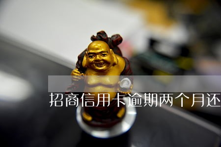 招商信用卡逾期两个月还可以吗
