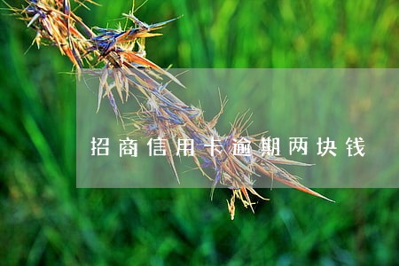 招商信用卡逾期两块钱