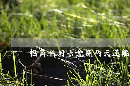 招商信用卡逾期两天还能透支吗 招商信用卡逾期两天还能透支吗