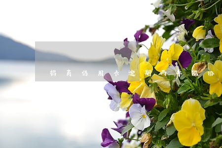 招商信用卡逾期两年能协商吗 招商信用卡逾期两年能协商吗