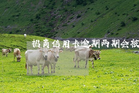 招商信用卡逾期两期会被起诉吗 招商信用卡逾期两期会被起诉吗
