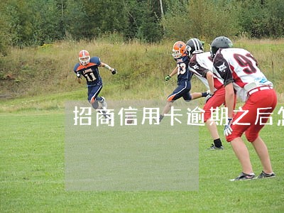 招商信用卡逾期之后怎么还款 招商信用卡逾期之后怎么还款