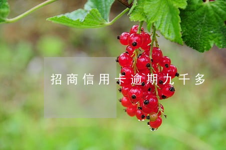招商信用卡逾期九千多 招商信用卡逾期九千多