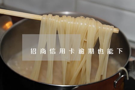 招商信用卡逾期也能下 招商信用卡逾期也能下