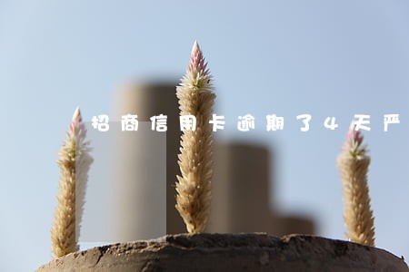 招商信用卡逾期了4天严重吗 招商信用卡逾期了4天严重吗