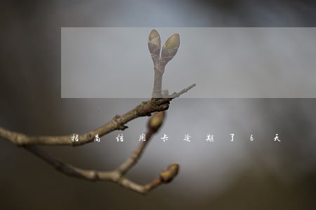 招商信用卡逾期了6天 招商信用卡逾期了6天