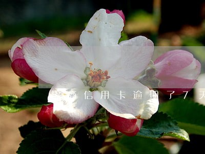 招商信用卡逾期了7天严重 招商信用卡逾期了7天严重