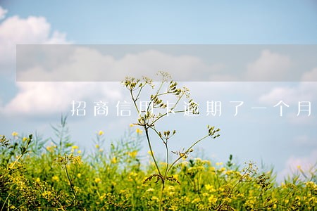 招商信用卡逾期了一个月 招商信用卡逾期了一个月