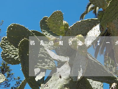 招商信用卡逾期了一天有影响吗