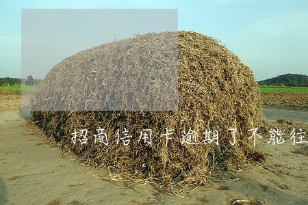 招商信用卡逾期了不能往出刷