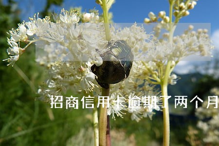 招商信用卡逾期了两个月 招商信用卡逾期了两个月
