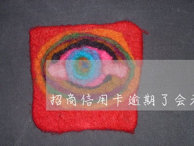 招商信用卡逾期了会天天催吗