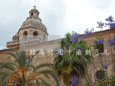 招商信用卡逾期了几千 招商信用卡逾期了几千