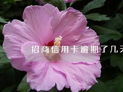 招商信用卡逾期了几天有事吗 招商信用卡逾期了几天有事吗