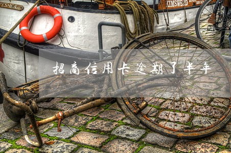 招商信用卡逾期了半年 招商信用卡逾期了半年
