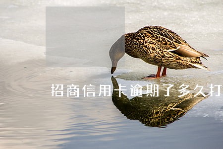 招商信用卡逾期了多久打电话 招商信用卡逾期了多久打电话