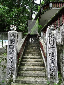 招商信用卡逾期了怎么分期还款 招商信用卡逾期了怎么分期还款