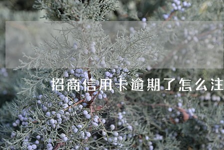 招商信用卡逾期了怎么注销 招商信用卡逾期了怎么注销