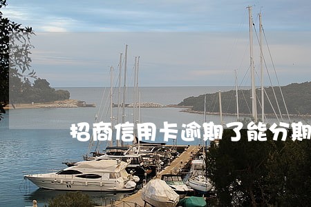 招商信用卡逾期了能分期吗