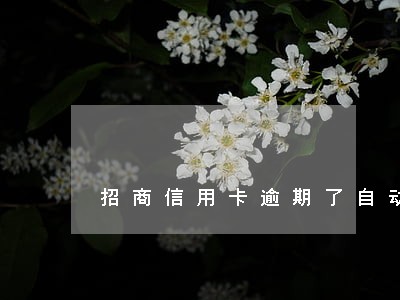 招商信用卡逾期了自动扣款