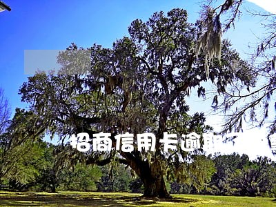 招商信用卡逾期了说拿身份证