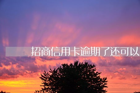 招商信用卡逾期了还可以办吗 招商信用卡逾期了还可以办吗