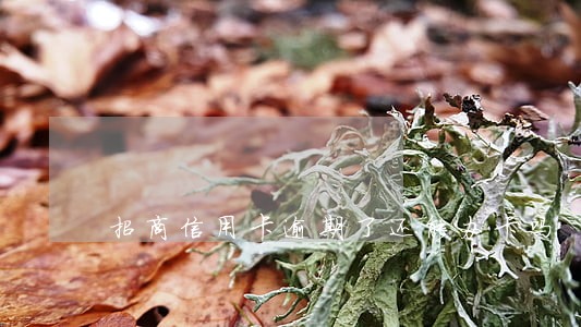 招商信用卡逾期了还能办卡吗 招商信用卡逾期了还能办卡吗