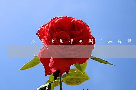 招商信用卡逾期了还能用吗 招商信用卡逾期了还能用吗