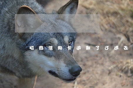 招商信用卡逾期了还进去还能用吗 招商信用卡逾期了还进去还能用吗