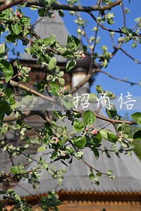 招商信用卡逾期五万
